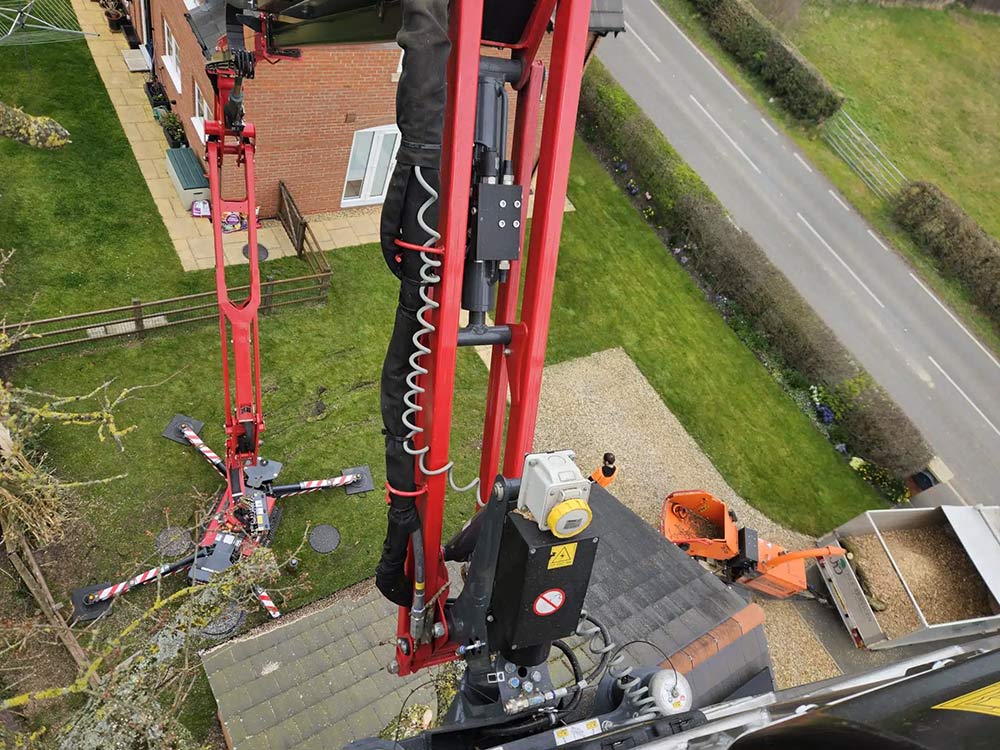 Tree removal