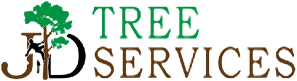 Tree Surgeon Wrexham